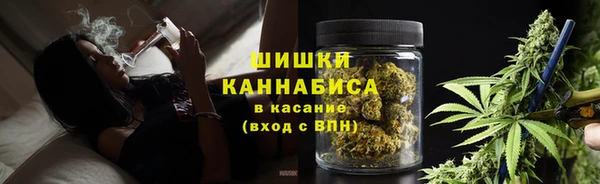 гашик Белоозёрский