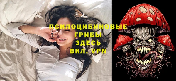 ALPHA PVP Белокуриха