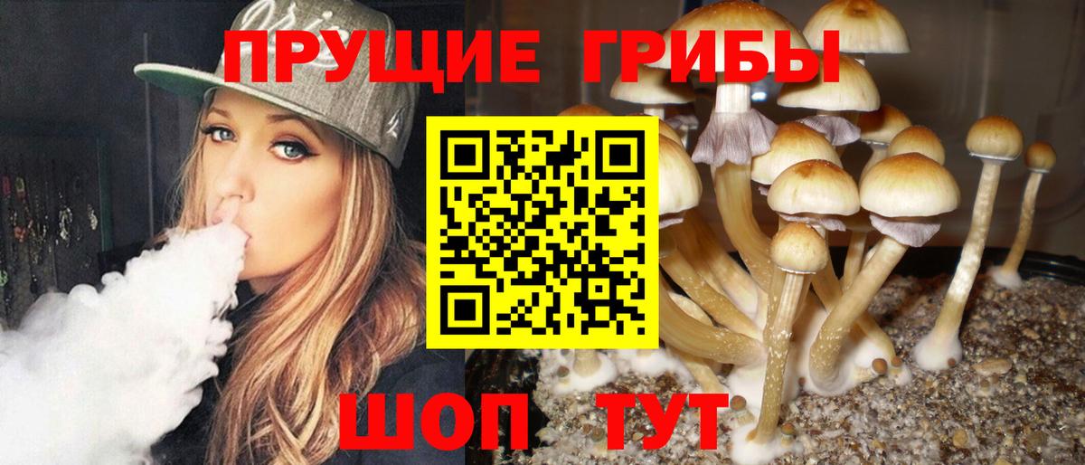 Галлюциногенные грибы GOLDEN TEACHER Гулькевичи