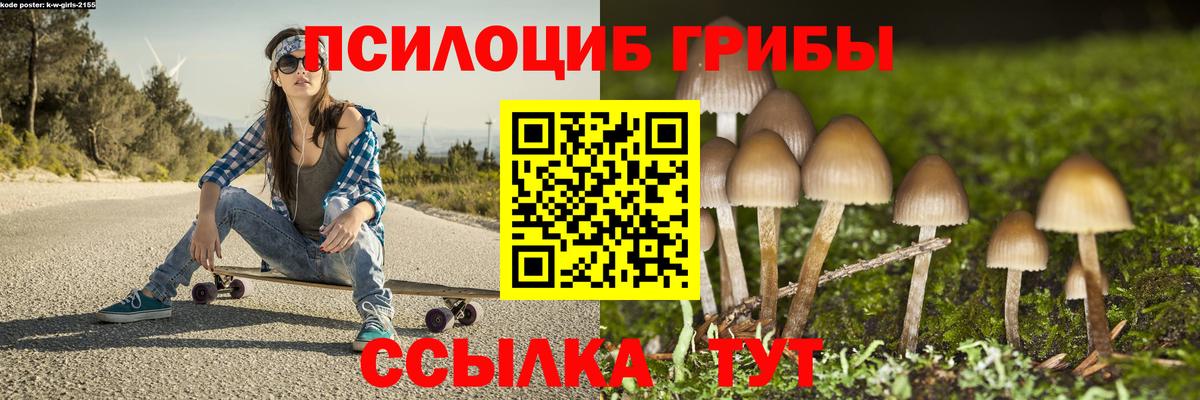 Псилоцибиновые грибы Cubensis  Гулькевичи  Галлюциногенные грибы GOLDEN TEACHER 