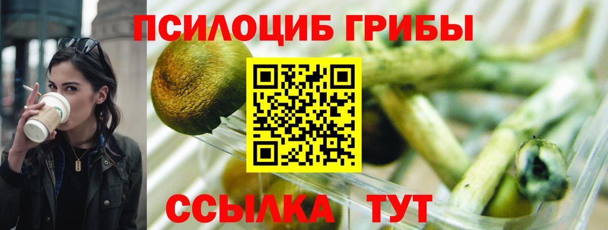 Псилоцибиновые грибы Psilocybine cubensis Гулькевичи